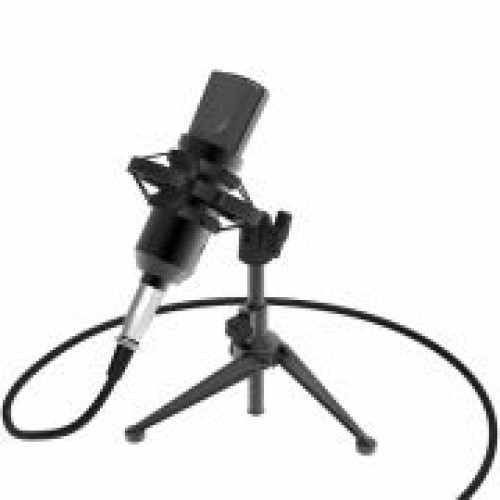 Микрофон Ritmix RDM-160 Black, конденсаторный, подставка
