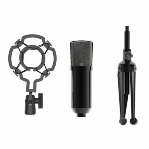 Микрофон Ritmix RDM-160 Black, конденсаторный, подставка