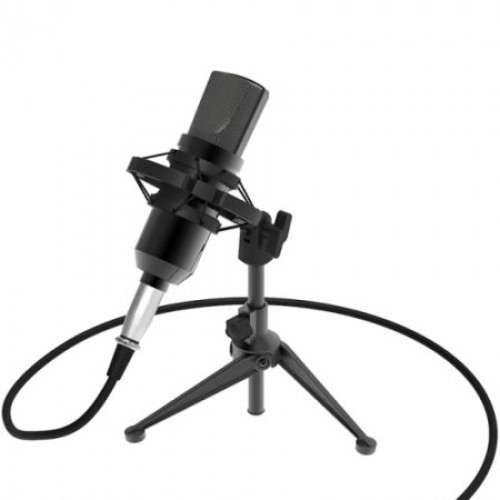 Микрофон Ritmix RDM-160 Black, конденсаторный, подставка