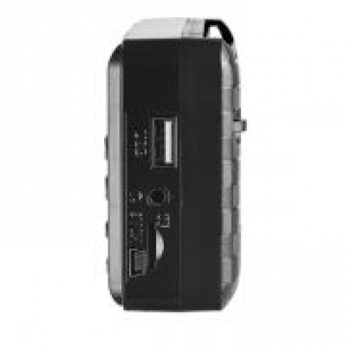 Мини аудио система Perfeo PALM, MP3, FM, акк. 18650, черная (i90-BL) (PF_A4870)