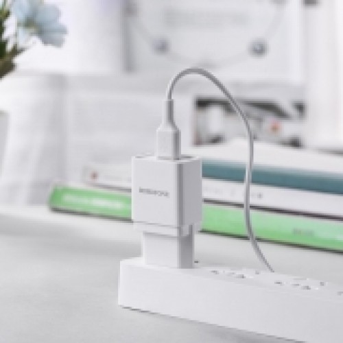 Зарядное устройство Borofone BA19A, 1А USB + кабель Micro USB, белое