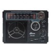 Радиоприемник Ritmix RPR-888 Black