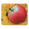 Коврик для мыши Defender Juicy Sticker pad (50412)