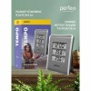 Метеостанция Perfeo PF-S3316E Tempo с часами и будильником, серебристая (PF_C3572)