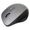Мышь беспроводная Smartbuy 309AG Silver/Metall USB (SBM-309AG-SK)