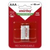 Аккумулятор AAA Smartbuy HR03-2BL 950мА/ч Ni-Mh, 2шт, блистер (SBBR-3A02BL950)