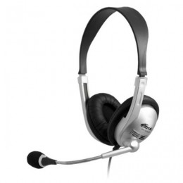 Гарнитура Ritmix RH-533 USB Silver